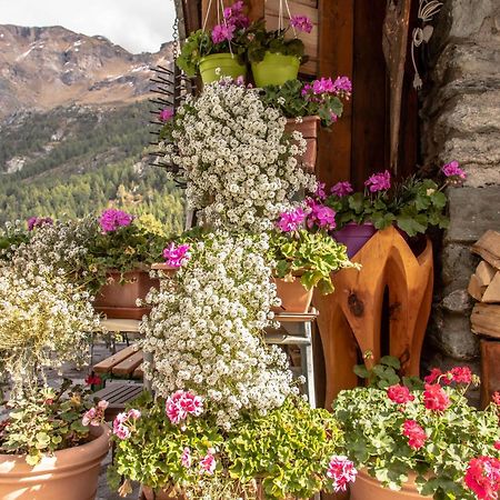 Hotel & Restaurant Perret - Mountain People Вальгризанш Екстер'єр фото